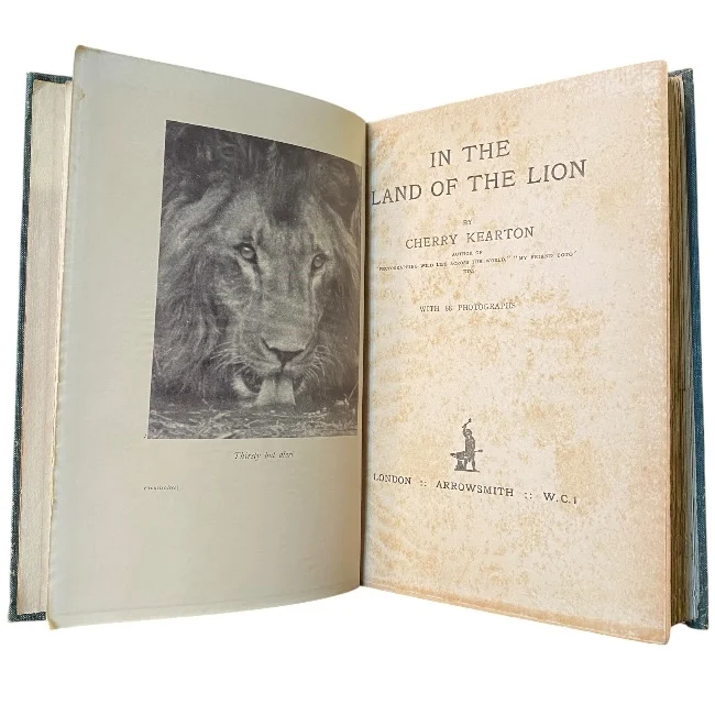 In the Land of the Lion