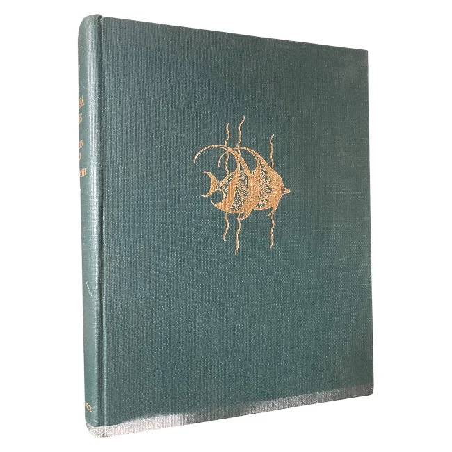 Sea Fishes of Southern Africa 1949