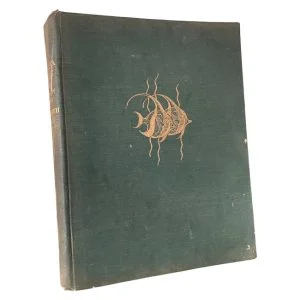 The Sea Fishes of Southern Africa