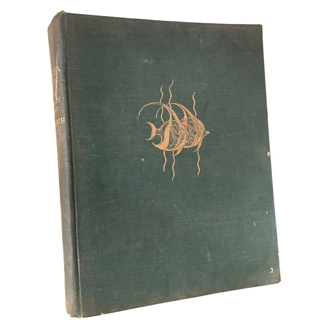 The Sea Fishes of Southern Africa