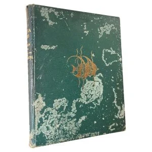 The Sea Fishes of Southern Africa