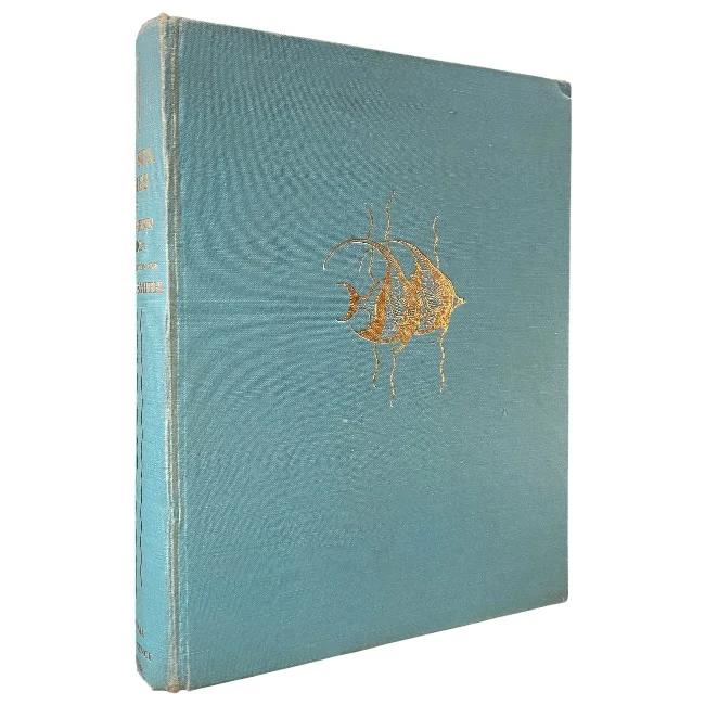 The Sea Fishes of Southern Africa