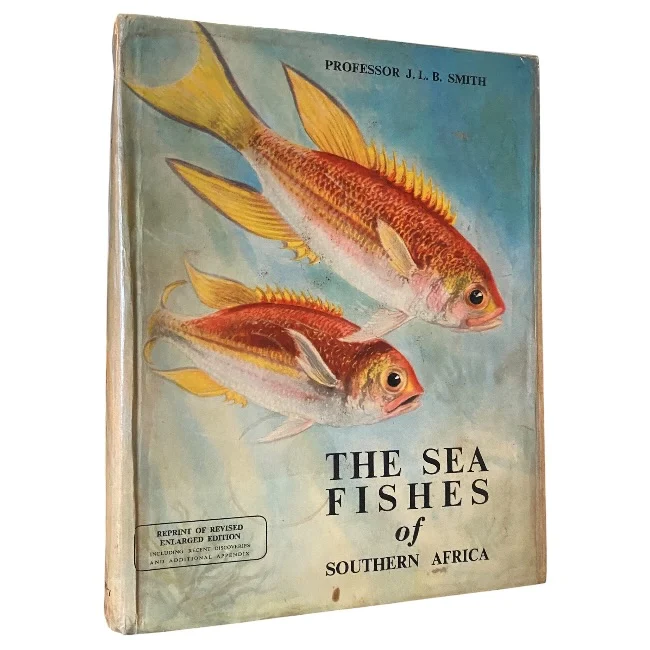 The Sea Fishes of Southern Africa 65
