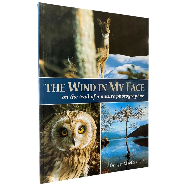 The Wind in My Face