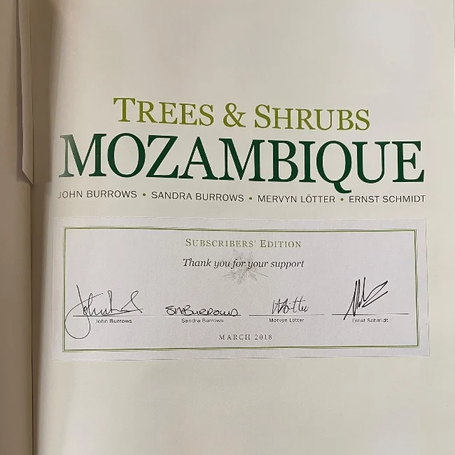 Trees and shrubs mozambique