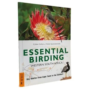 Essential Birding: Western South Africa