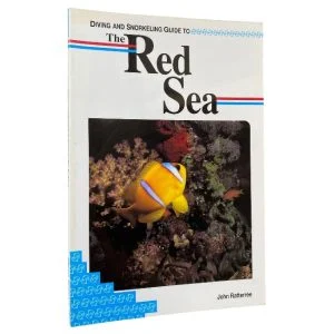 Snorkeling Guide to the Red Sea
