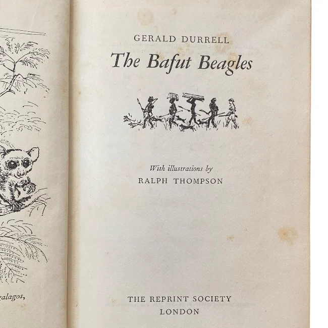 The Bafut Beagles
