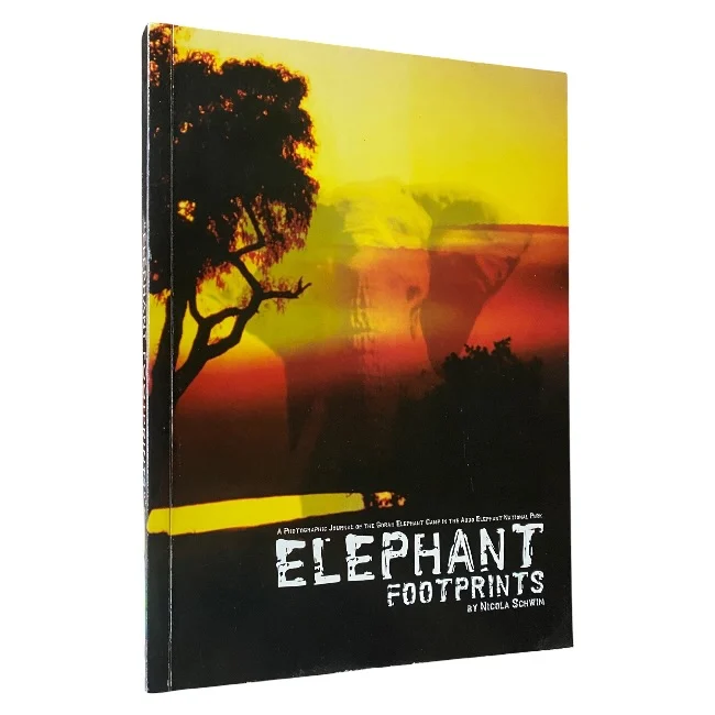 Elephant Footprints