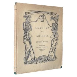Anatomy for Artists
