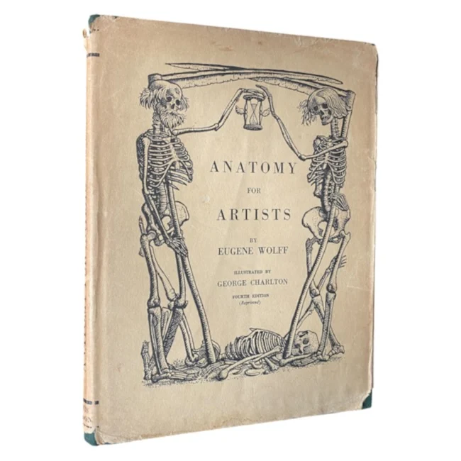 Anatomy for Artists