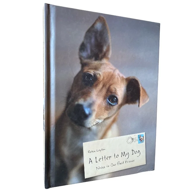 A Letter to My Dog