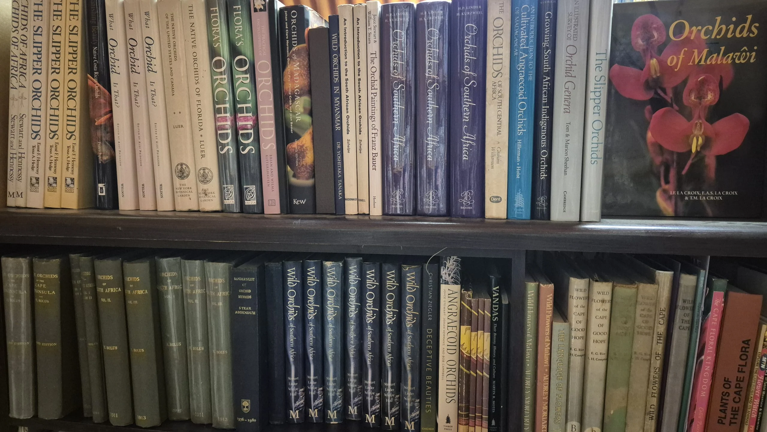 Orchid titles at Midlands Books, including the green cloth volumes of Harry Bolus's The Orchids of the Cape Peninsula and Orchids of Southern Africa.
