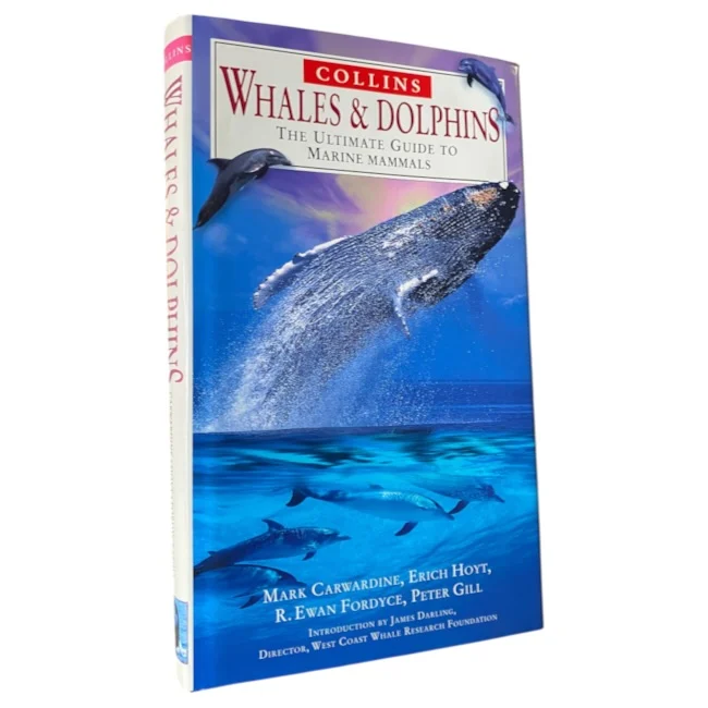 Whales & Dolphins