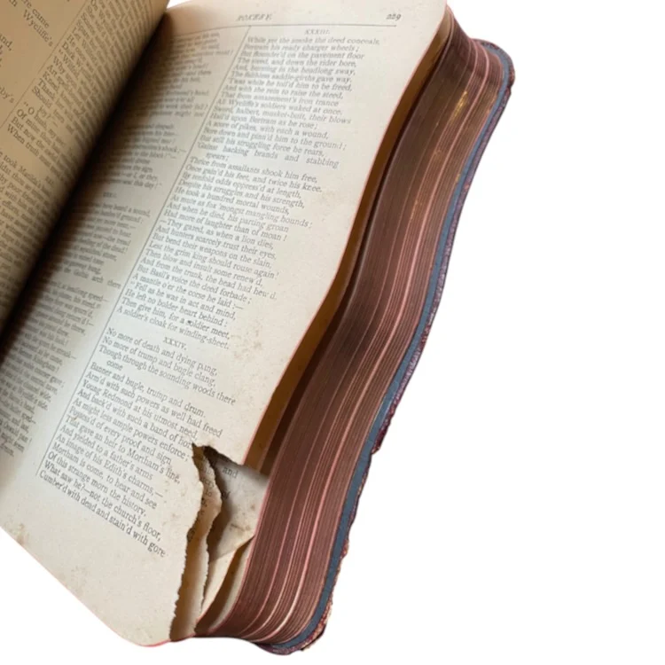 The Poetical Works of Sir Walter Scott