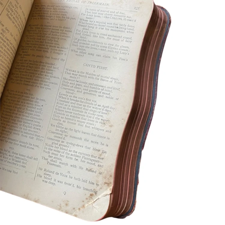 The Poetical Works of Sir Walter Scott