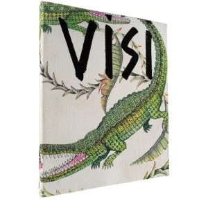 VISI 100