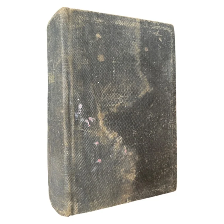 Die Bibel