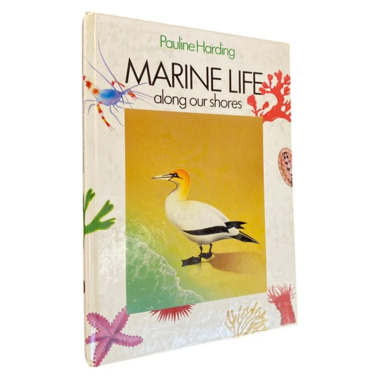 Marine Life Along Our Shores