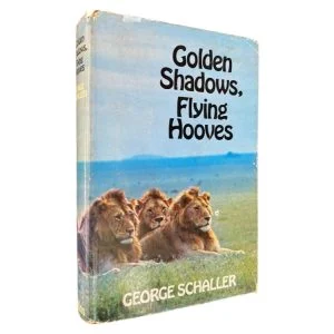 Golden Shadows Flying Hooves