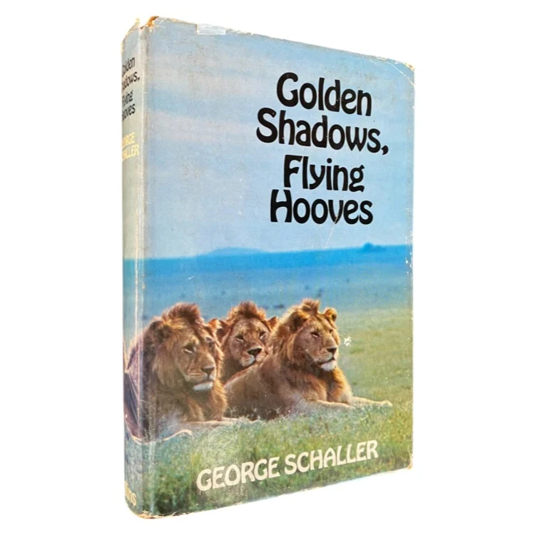 Golden Shadows Flying Hooves