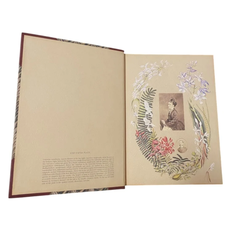 Flower Paintings Of Katherine Saunders - Collectors Edition (No. 52/250 - Signed) - Image 4
