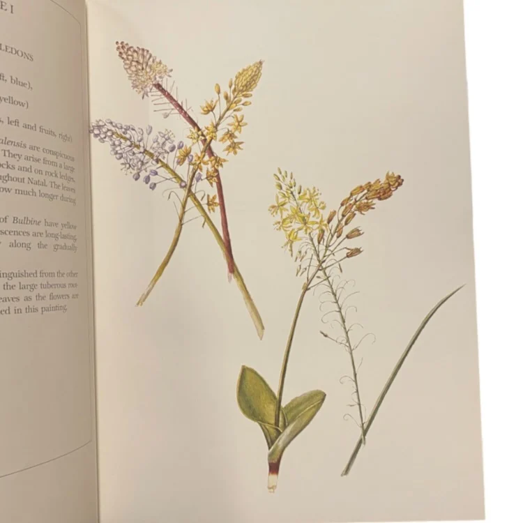 Flower Paintings Of Katherine Saunders - Collectors Edition (No. 52/250 - Signed) - Image 7