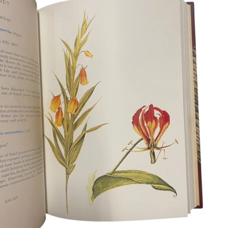 Flower Paintings Of Katherine Saunders - Collectors Edition (No. 52/250 - Signed) - Image 8