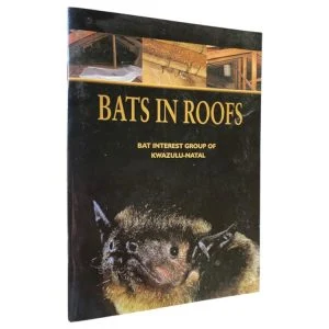 Bats in Roofs