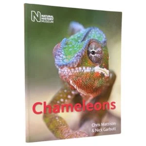 Chameleons
