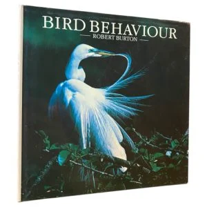 Bird Behaviour