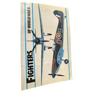 Fighters of World War II