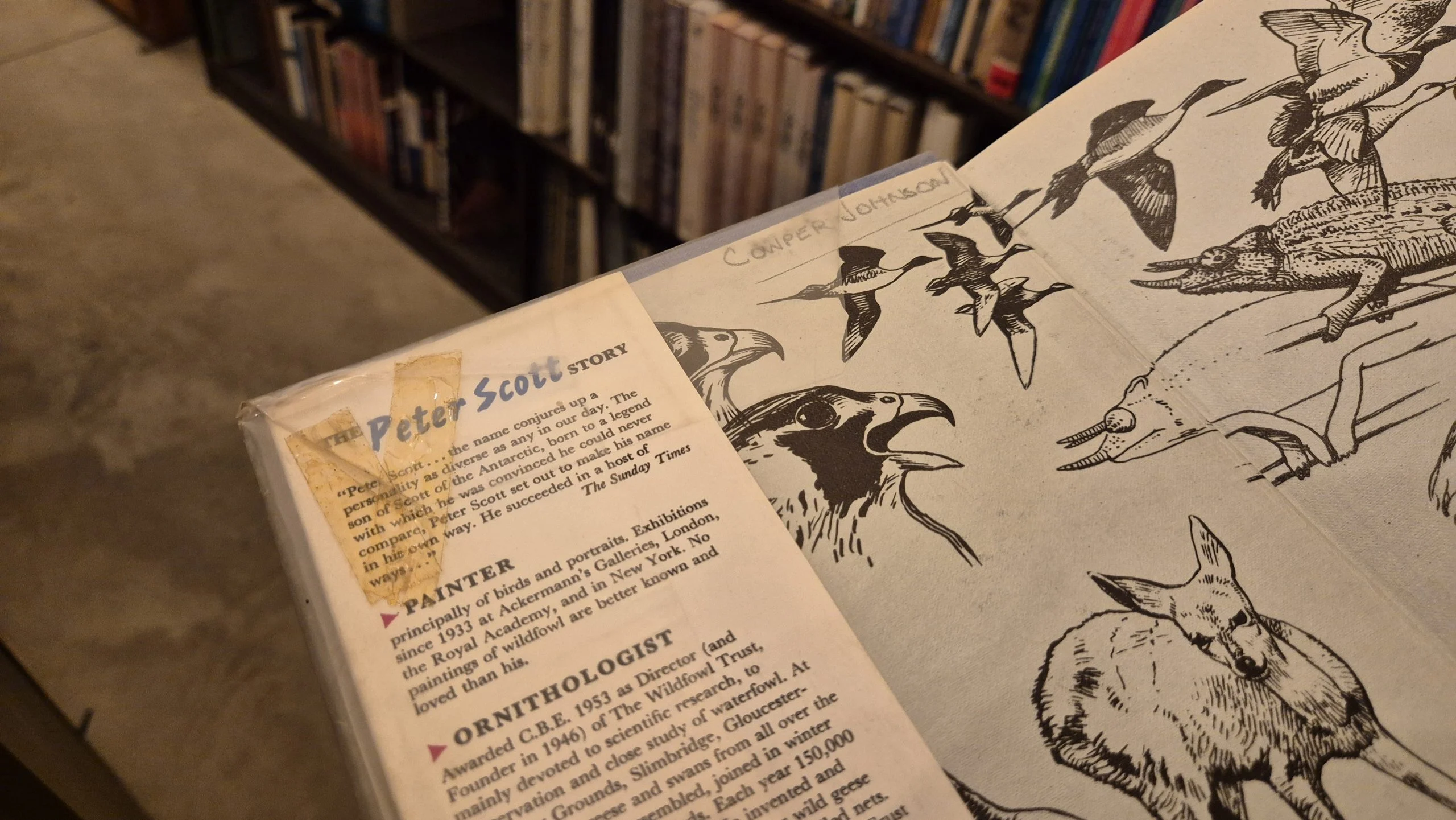 Tape marks and staining left on the page of an old book